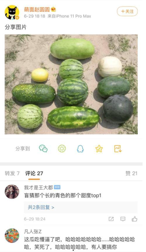 最新爆料的新瓜