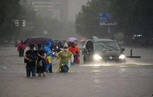 郑州爆料大雨视频最新,城市抗洪纪实，视频记录惊心动魄瞬间